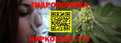 мдма Новодвинск