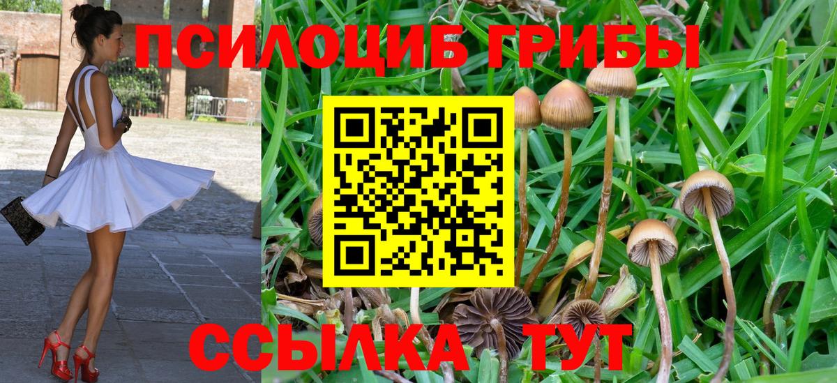 Галлюциногенные грибы Magic Shrooms Татарск
